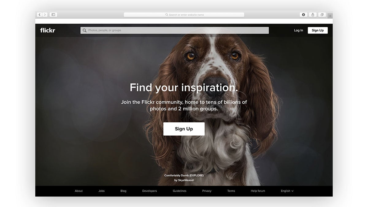 Flickr landing page