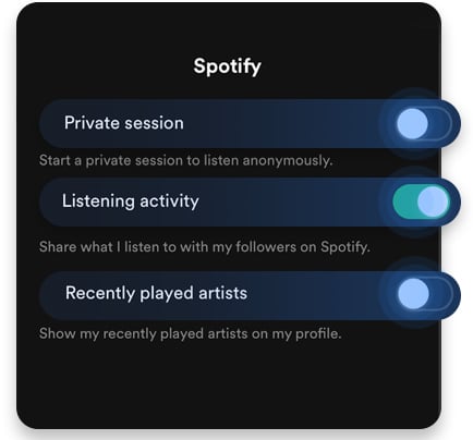 private session spotify app