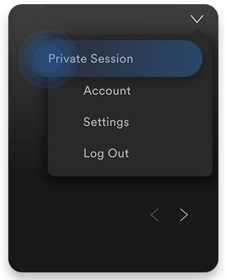 how to do private session on spotify app