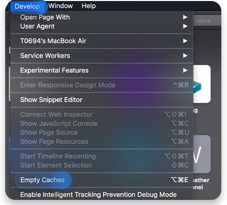 Click on Develop in the menu bar and click on Empty caches to clear Safari cache