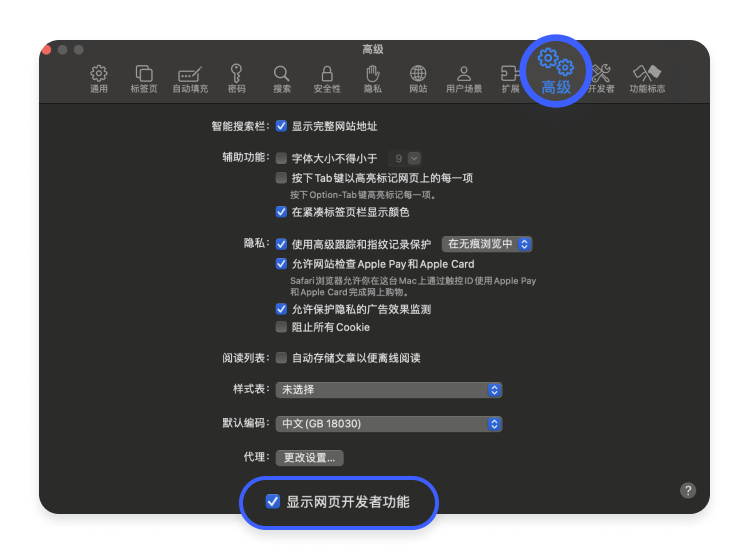 Disable WebRTC on Safari 2