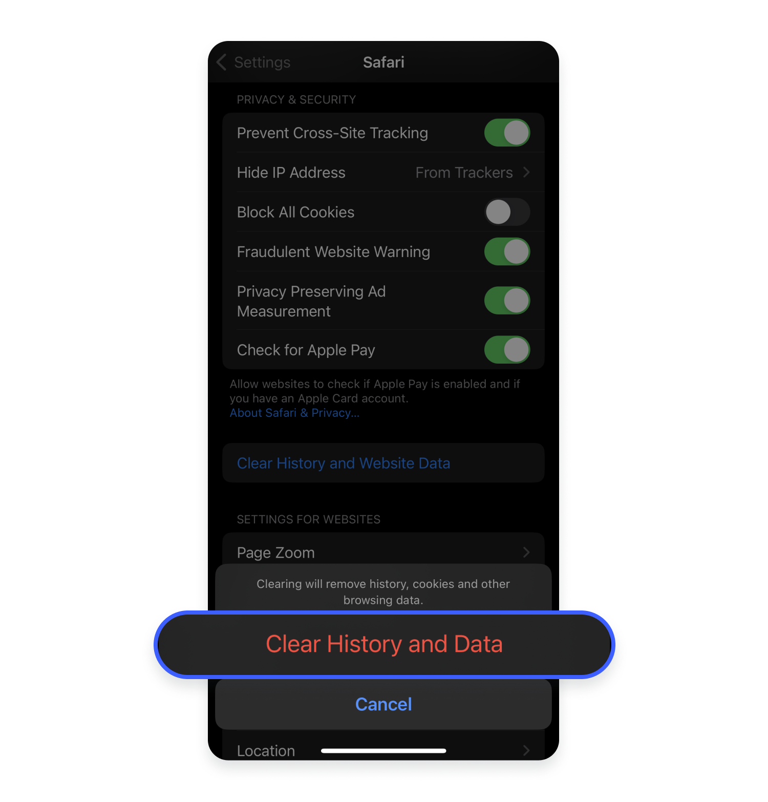 clear history and data in Safari on iPhone