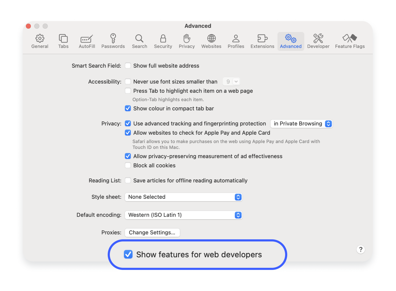 Safari features for web developers
