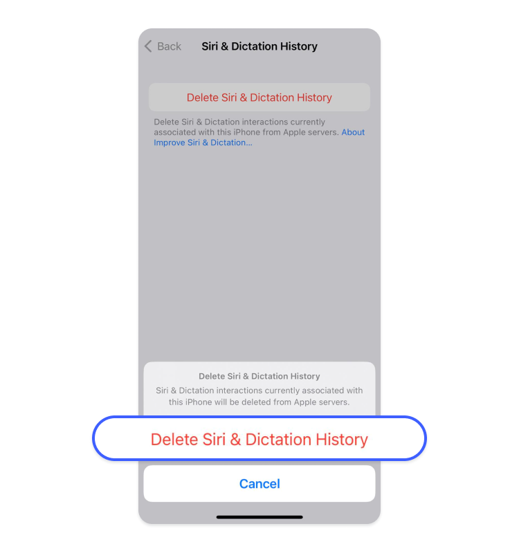 Siri and dictation history to confirm