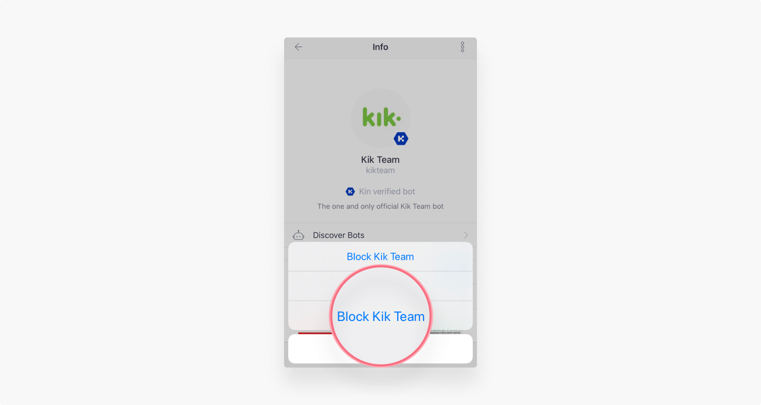 Definere Krønike svamp How to Delete Kik Account Permanently [4 steps] | NordVPN